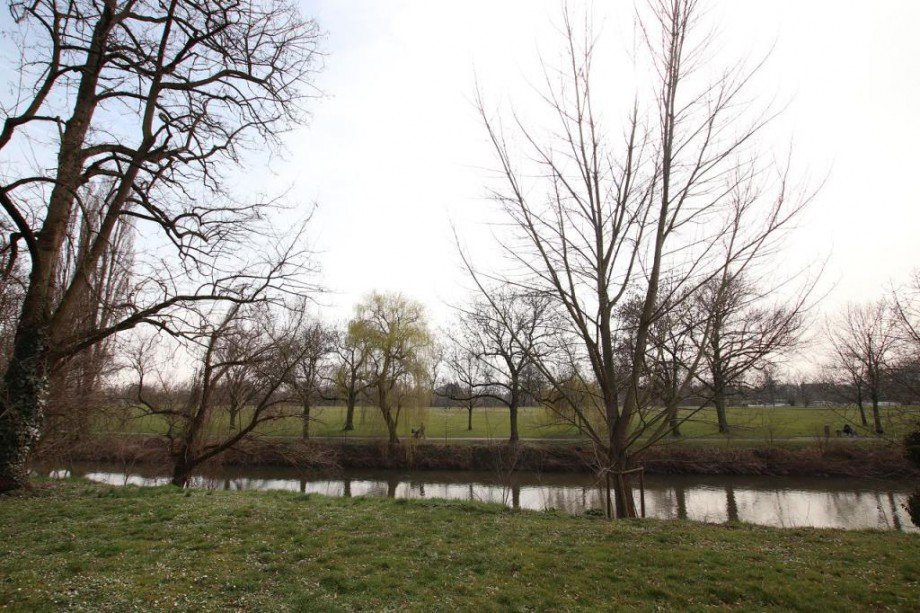 NIDDA VOR DER T�R... Etagenwohnung Frankfurt am Main