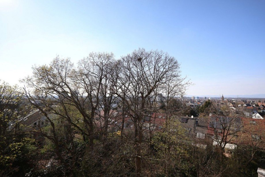 AUSBLICK Etagenwohnung Langen