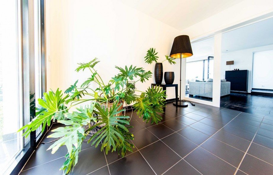DIELE Einfamilienhaus Bensheim