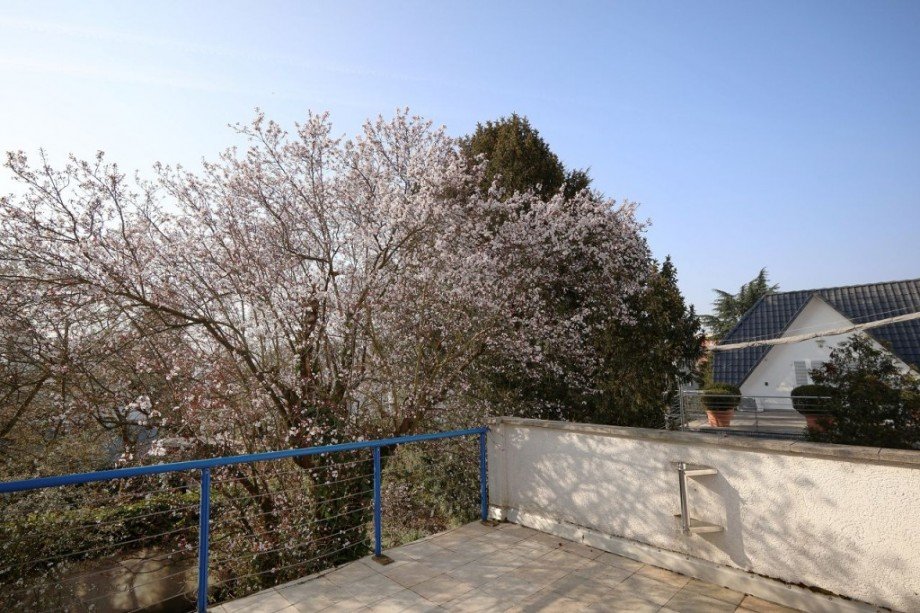 DACHTERRASSE Einfamilienhaus Darmstadt