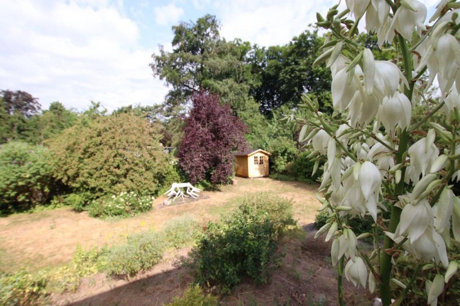 BLICK IN DEN GARTEN Bungalow Darmstadt