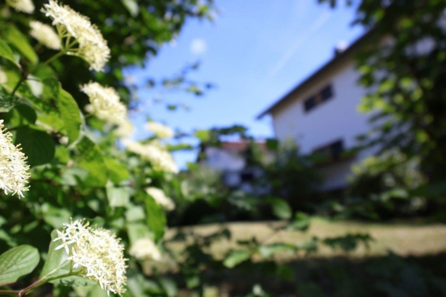IMPRESSIONEN Einfamilienhaus Alsbach-H�hnlein
