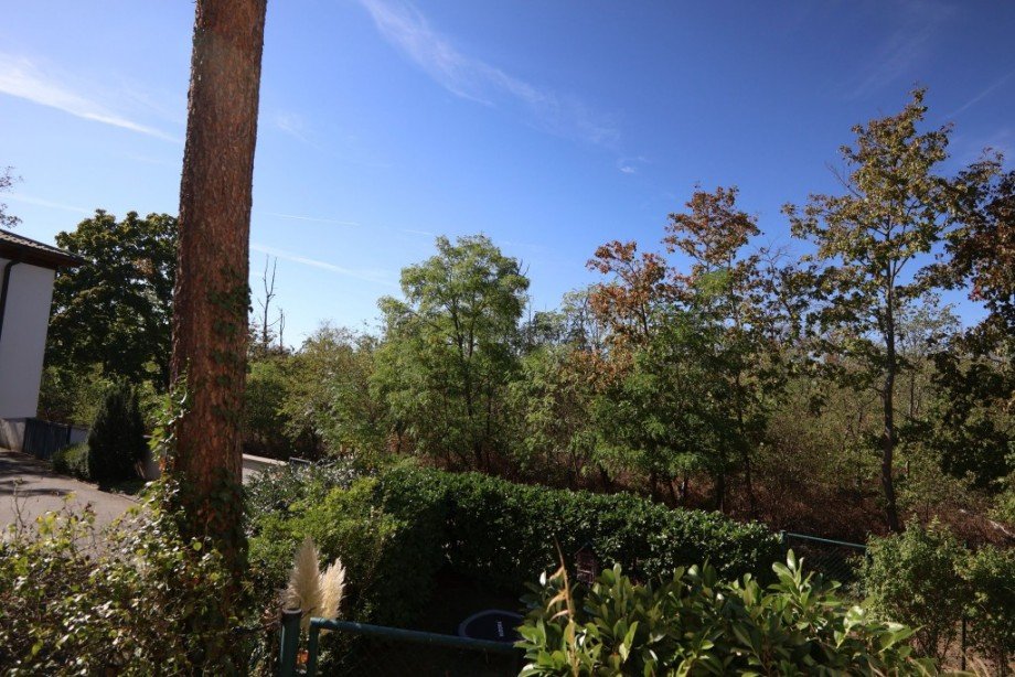 BLICK INS GR�NE Etagenwohnung Darmstadt