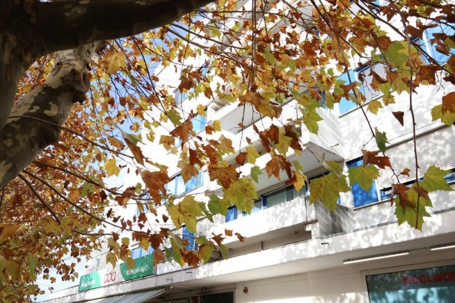 AUSSENANSICHT Etagenwohnung Darmstadt