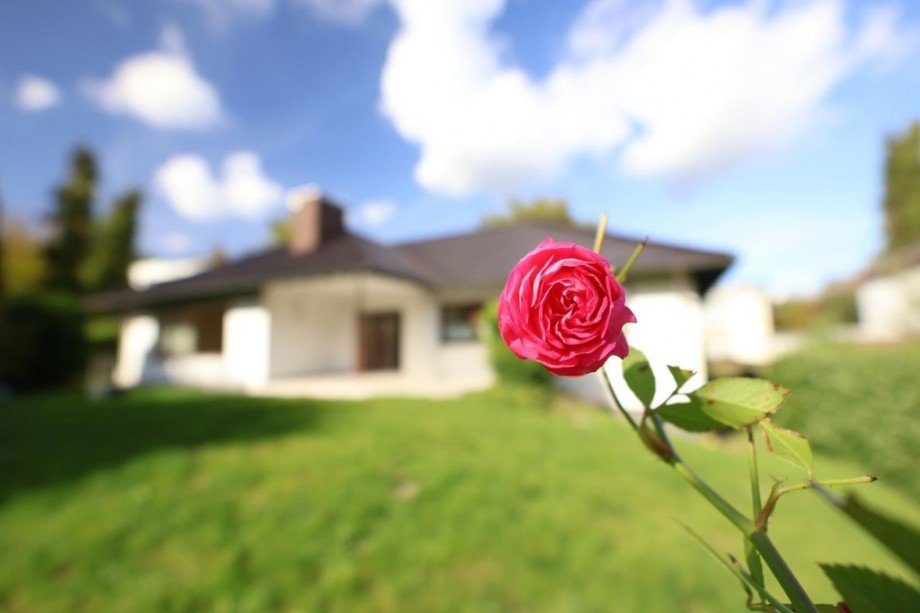 GARTENZAUBER Bungalow M�hltal