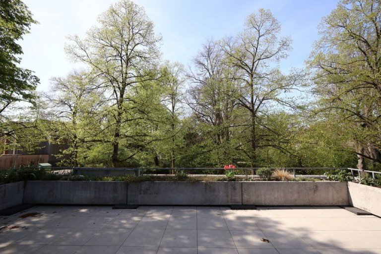 DACHTERRASSE Darmstadt Etagenwohnung ...Dachterrasse �ber Blumen ...