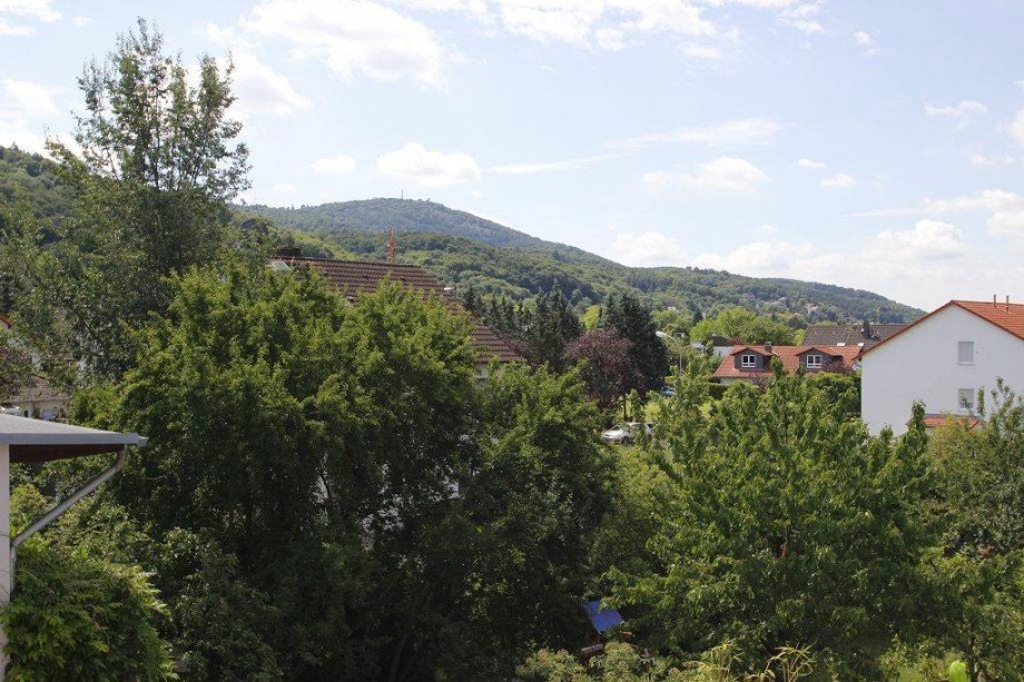 AUSBLICK Etagenwohnung Seeheim-Jugenheim