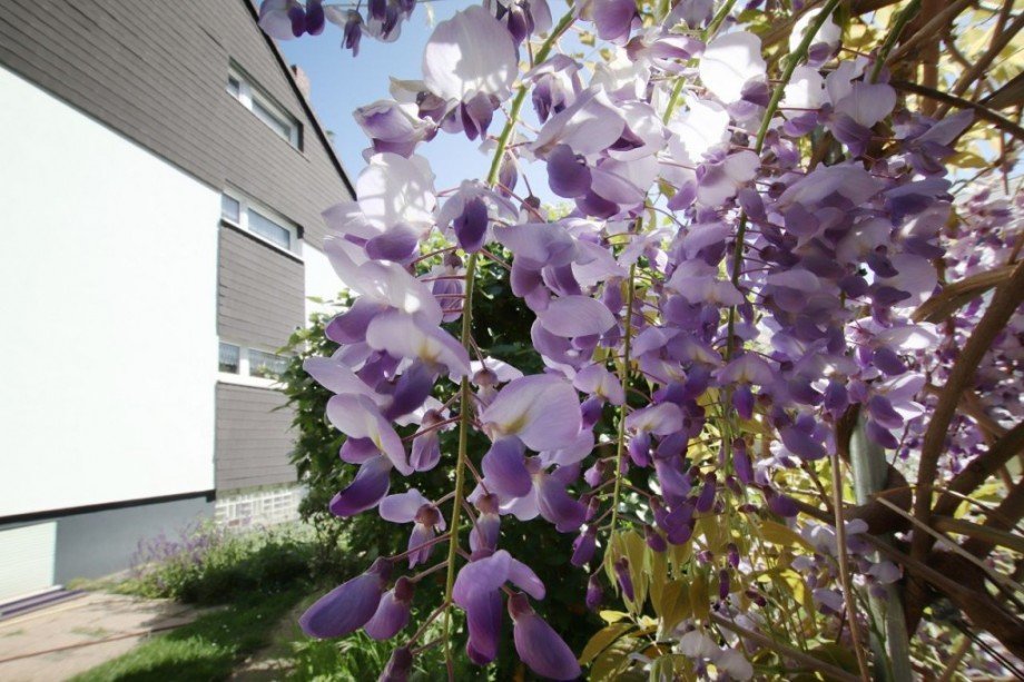 IMPRESSIONEN Reiheneckhaus Darmstadt