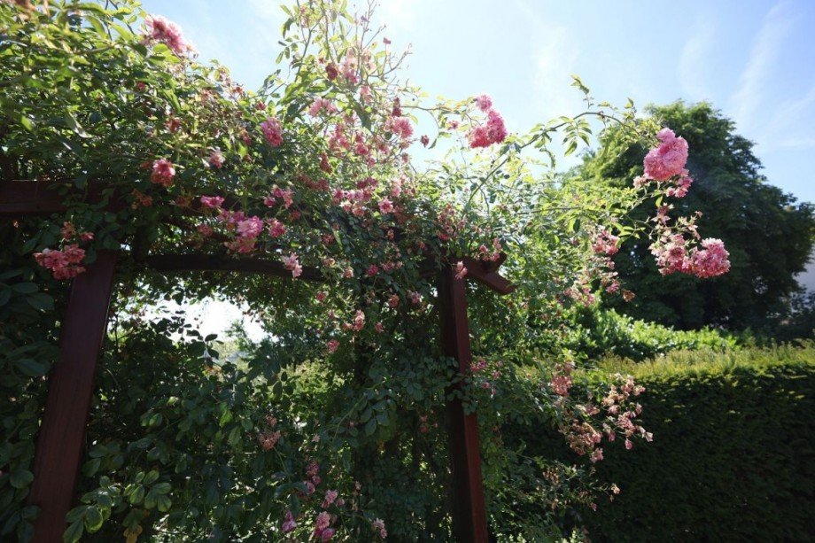 ROSARIUM Bungalow M�hltal