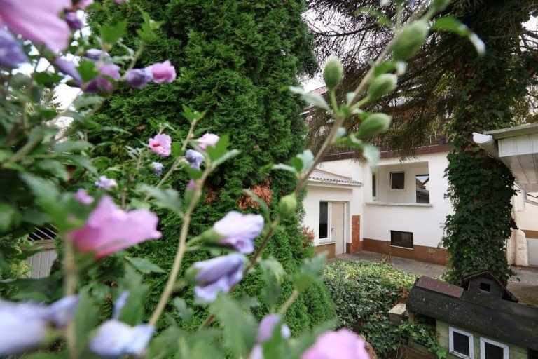 BL�TENPARADIES Reinheim Doppelhaush�lfte EINZIEHEN & AUFBL�HEN!