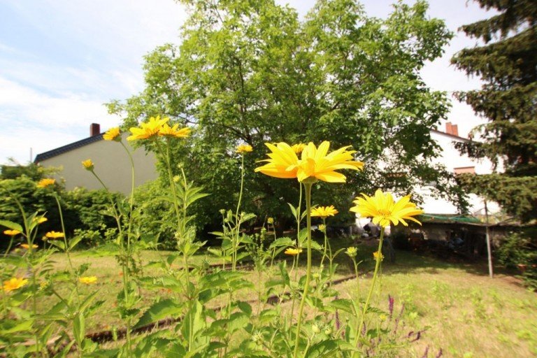 IMPRESSIONEN Seeheim-Jugenheim Wohngrundst�ck WER WILL BAUEN ? ... IN MALCHEN ...