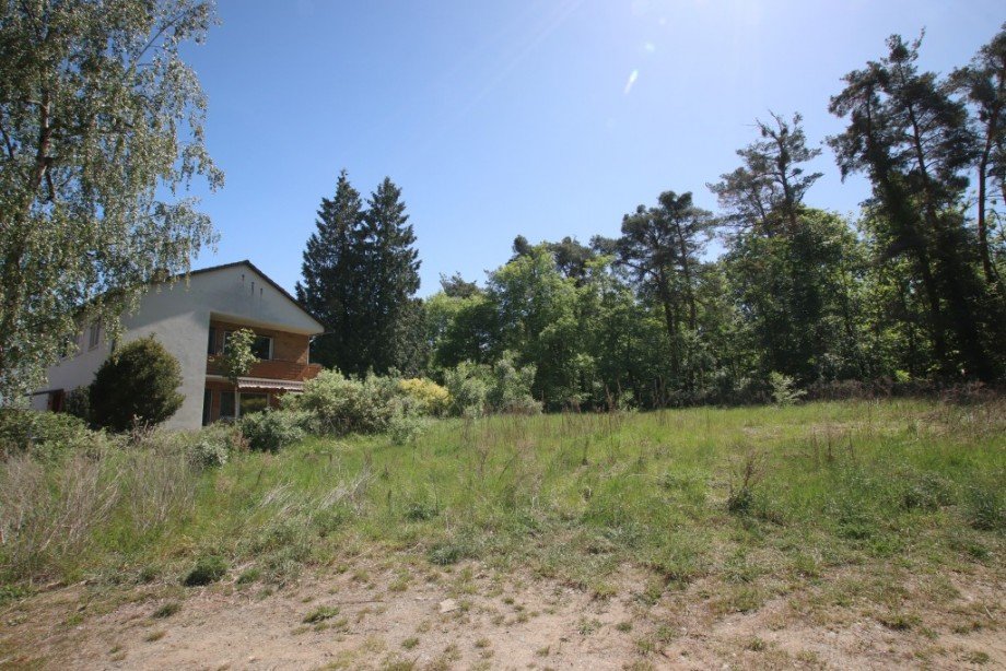 GRUNDST�CK Wohngrundst�ck Darmstadt