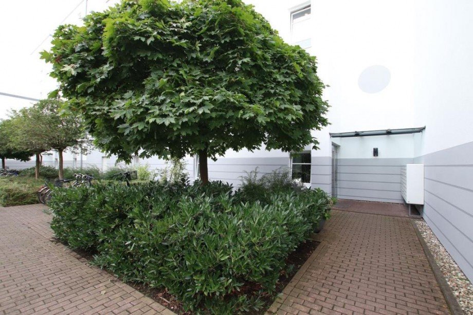 HAUSEINGANG Etagenwohnung Darmstadt